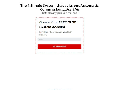 The Olsp System